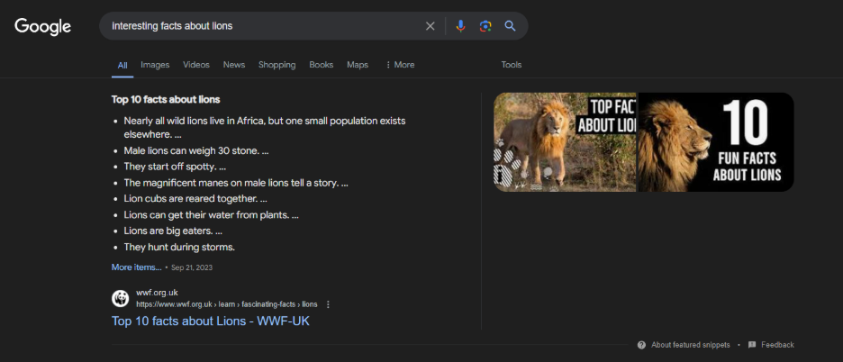 Google Feature Snippets