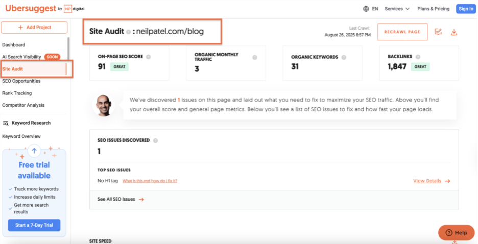 Site Audit: Allows users to audit specific pages, folders, and subdirectories.