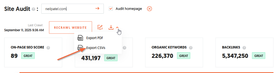 Exporting options for the Site Audit report