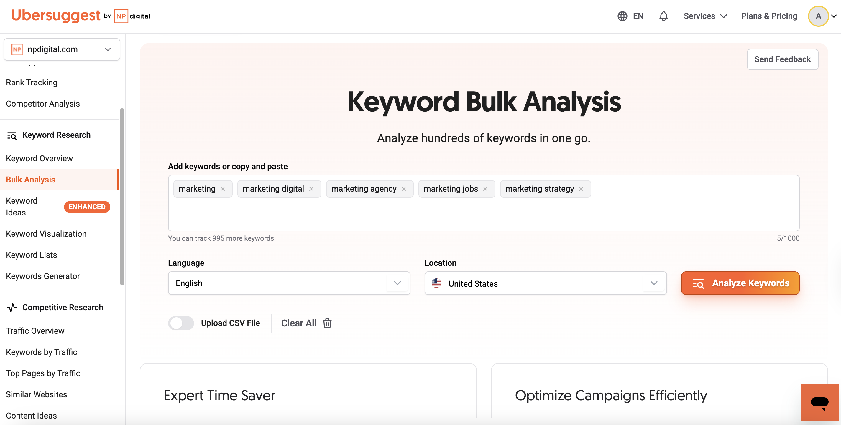 Bulk Analysis input for manual keyword entry or CSV upload 